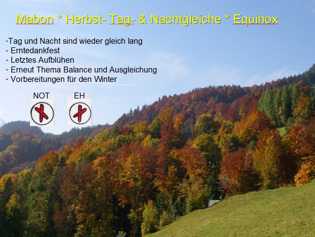 Bergwald mit bunten Herbstlaub