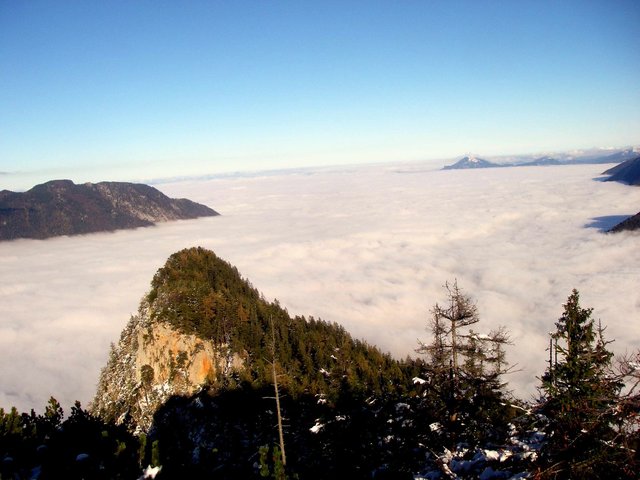 Bewaldeter Gipfel über einem Wolkenmeer