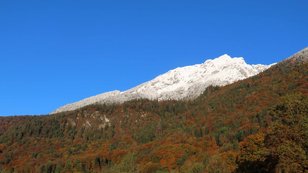 Weißer Schneeberg über buntem Herbstlaubwald 