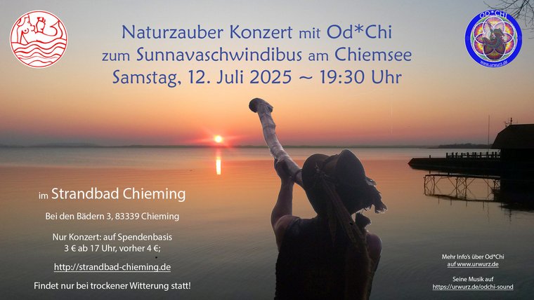 Konzert Plakat einer Freiluftveranstaltung mit der Silhouette eines Didgeridoo Spielers mit Hut vor der untergehenden Sonne an einem sehr großen See mit Bootshaus rechts