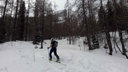 Skibergsteiger in winterlichen, alpinen Lärchenwald 