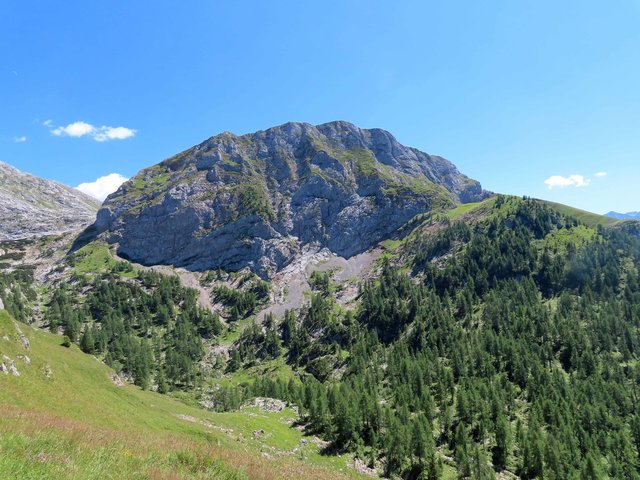 Wilder Berg gegenüber von Bergblumenwiesenhang 