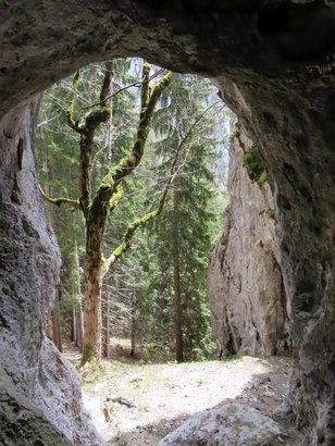 Ausblick aus einer Höhle in einen Bergwald