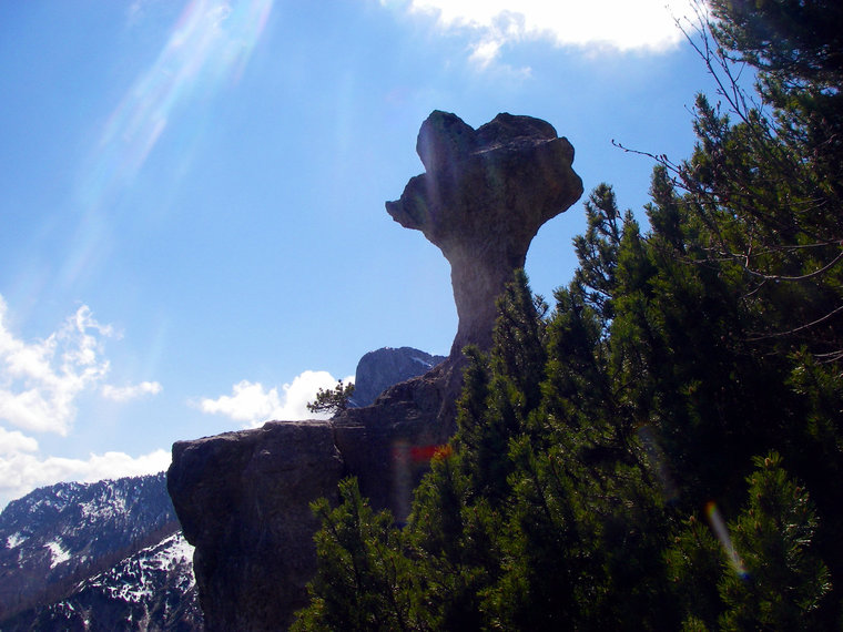 Pilzförmige Felsgestalt im Lattengebirge