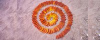 Spirale aus buntem Herbstlaub